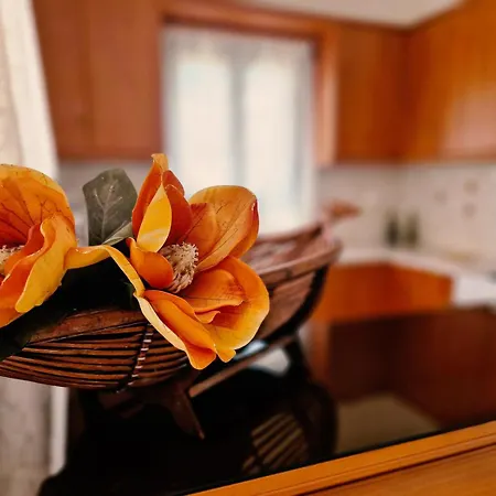 דירה Hopperstay Syros